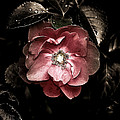 Looking around-080